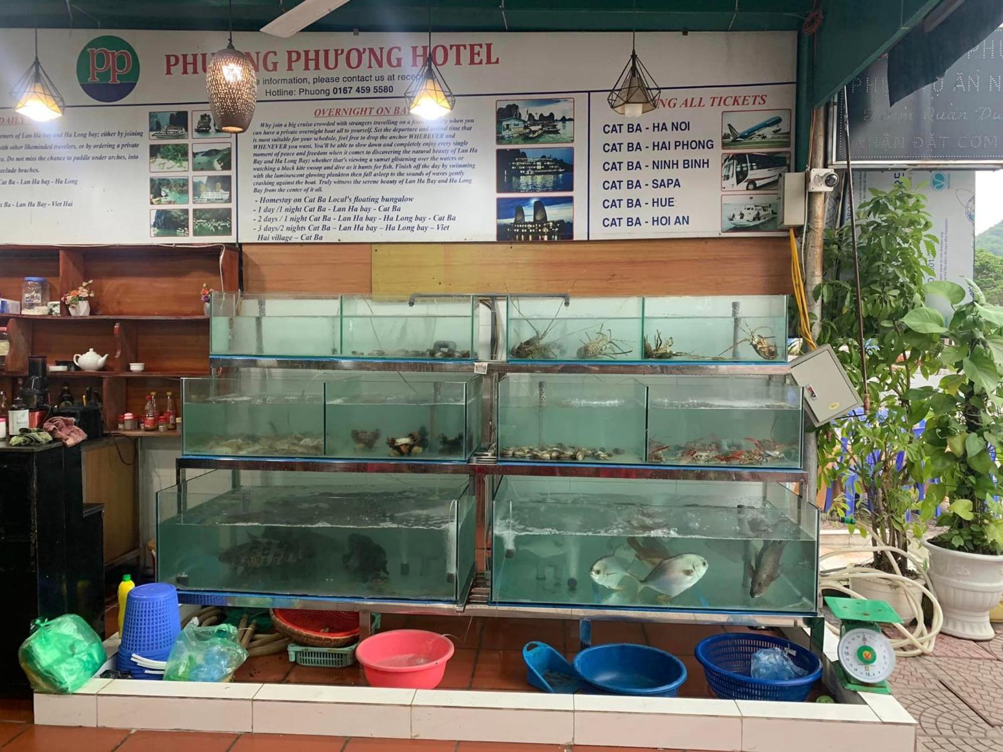 Phuong Phuong Hotel Dong Khe Sau ภายนอก รูปภาพ